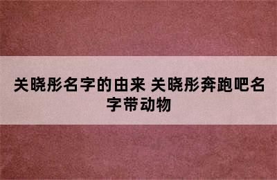 关晓彤名字的由来 关晓彤奔跑吧名字带动物